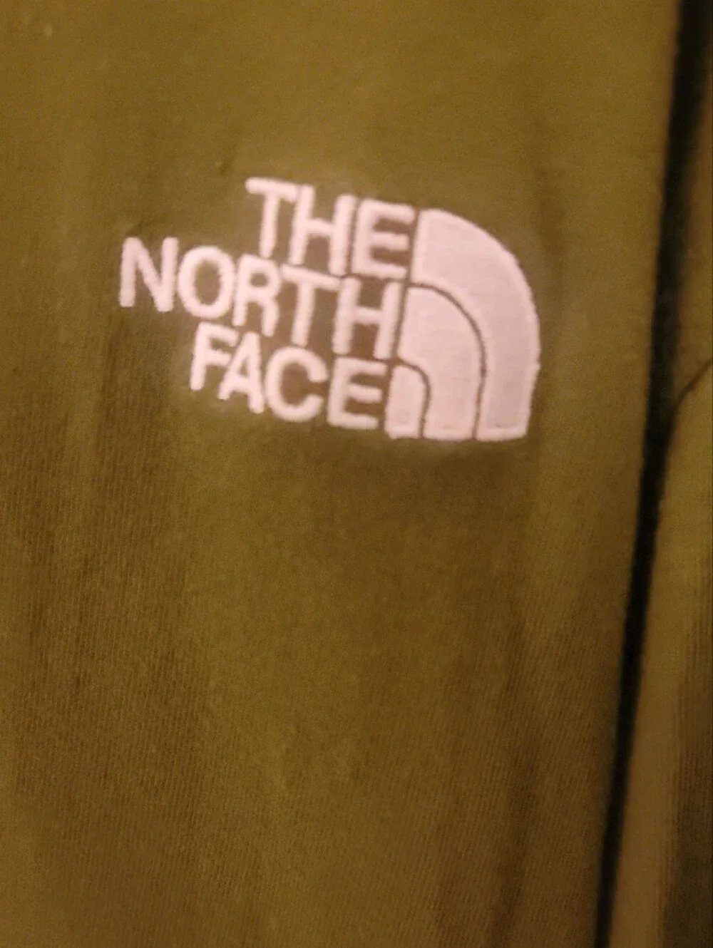 The North Face soft short